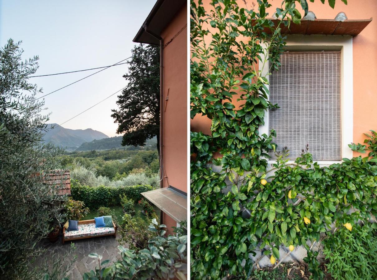 Casetta Di Butia, Mimosa Apartment Borgo a Mozzano Exterior photo